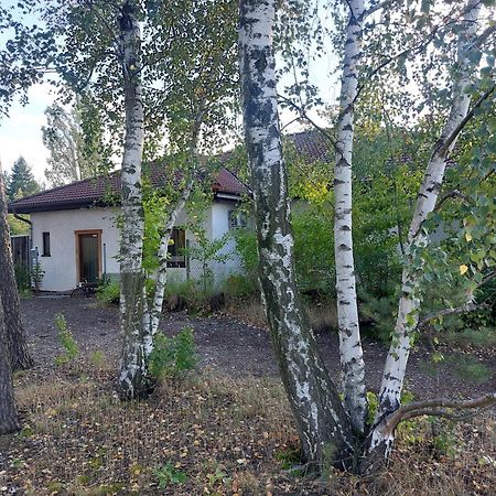 Apartment Gnubbel Am Wald Weisswasser Kültér fotó