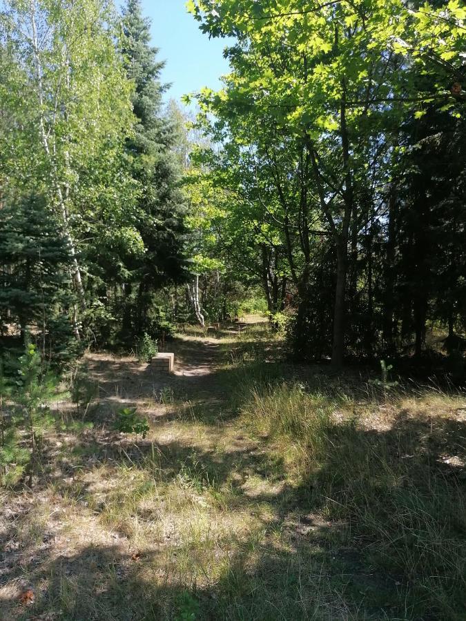 Apartment Gnubbel Am Wald Weisswasser Kültér fotó