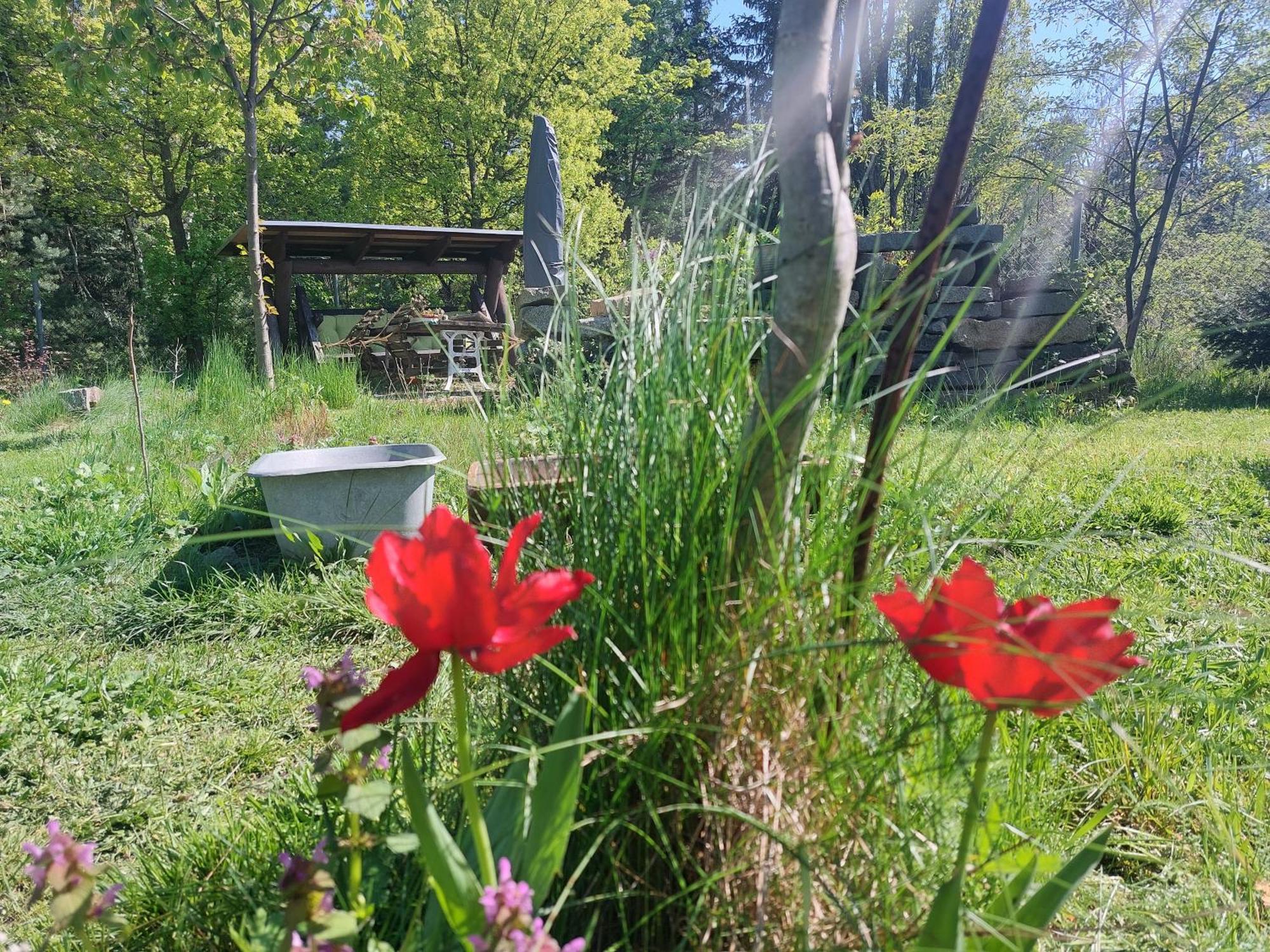 Apartment Gnubbel Am Wald Weisswasser Kültér fotó